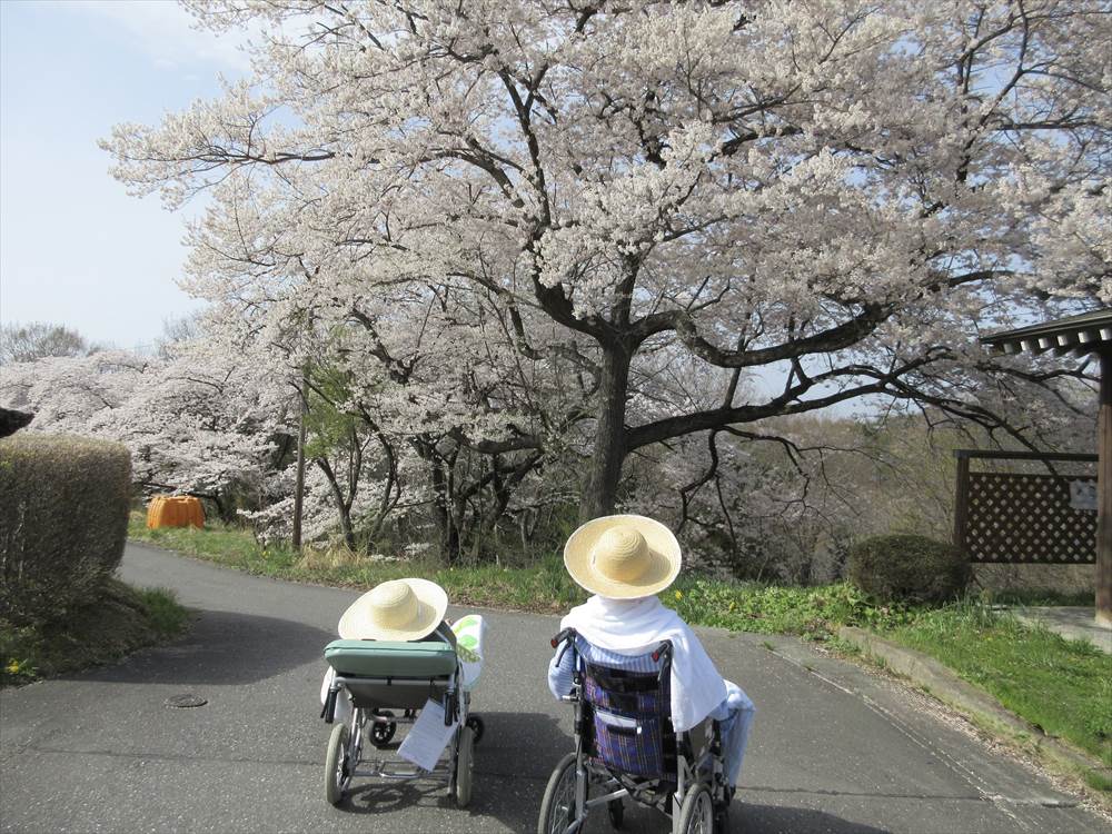 お花見会の様子